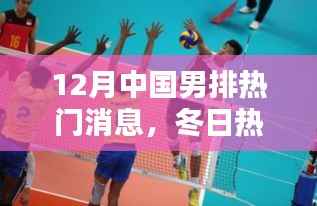 12月热血男排,友情、拼搏与家的温暖,最新男排消息回顾
