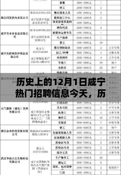 历史上的12月1日咸宁热门招聘信息深度解析与探讨
