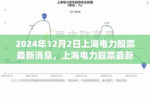 2024年12月2日上海电力股票最新动态及深度评测