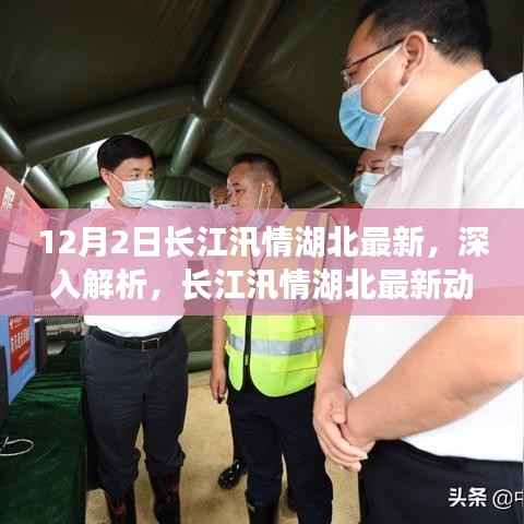 长江汛情湖北最新动态解析,产品特性与体验报告(12月2日更新)