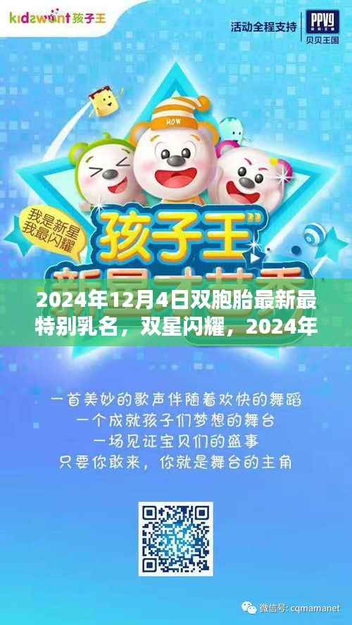 2024年双星闪耀,双胞胎最新最特别乳名深度评测与命名解析