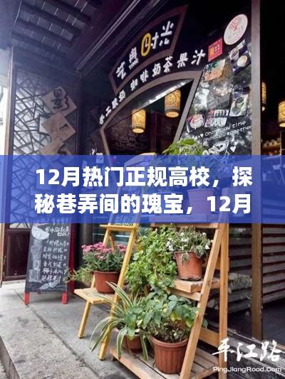 探秘巷弄间的瑰宝,十二月热门高校旁的小店风采