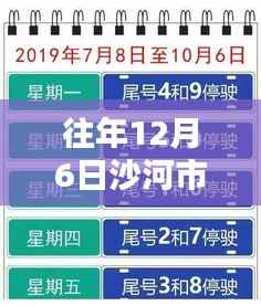 往年沙河市最新限号措施详解及分析要点