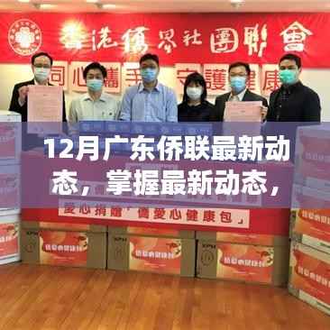 12月广东侨联最新动态详解与参与指南,掌握资讯,积极行动