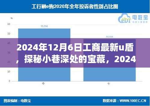探秘宝藏小店,揭秘2024年工商最新U盾特色之旅