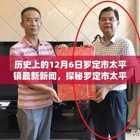 罗定市太平镇最新新闻揭秘,小巷深处的独特风味与历史的印记(12月6日)