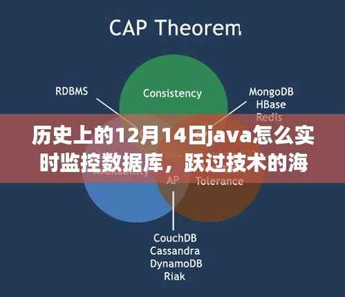 Java助力下的数据库实时监控之旅,历史、技术与成长之路
