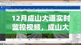 成山大道智能实时监控,科技重塑生活,新宠上线!