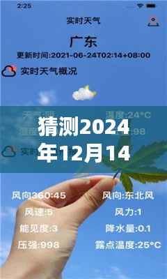 关于肺炎利群在特定日期的实时动态分析预测与探讨,2024年12月14日的观察与探讨