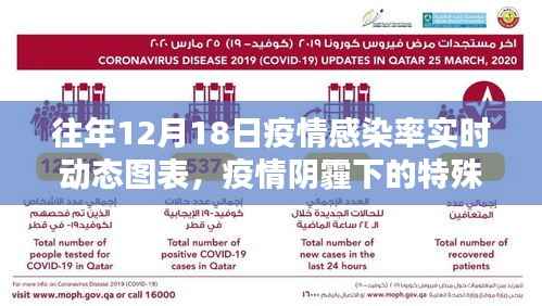 历年十二月十八日疫情感染率动态回顾,疫情阴霾下的特殊日子实时图表分析