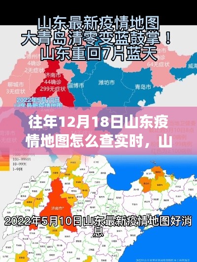 山东疫情地图背后的温情故事,友情与陪伴的追踪之旅,实时查询指南