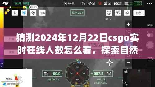 探索CSGO实时在线人数预测与自然美景之旅,冬至之日的期待与内心宁静的追寻