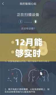 12月心率故事,实时监测心跳间的温暖