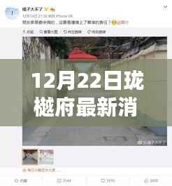 揭秘珑樾府最新消息,巷弄深处的秘密宝藏,实时更新(独家报道)