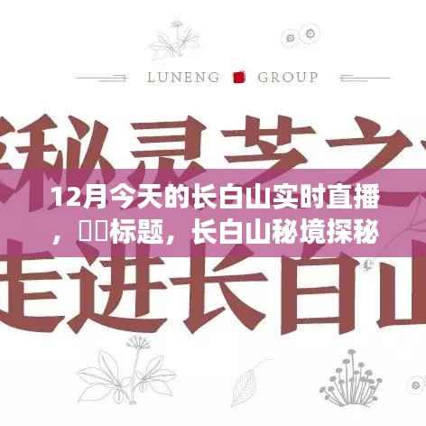 长白山秘境探秘,与自然零距离接触,12月实时直播体验尘外仙境