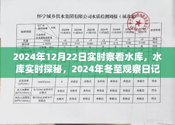 2024年水库生态探秘之旅,冬至观察日记与实时探察之旅