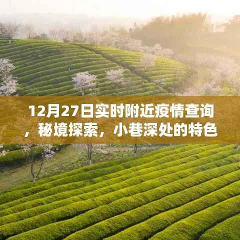 12月27日疫情实时查询,秘境探索与小巷特色小店