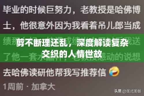 剪不断理还乱,深度解读复杂交织的人情世故