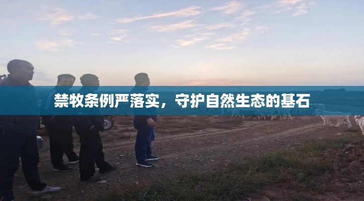 禁牧条例严落实,守护自然生态的基石