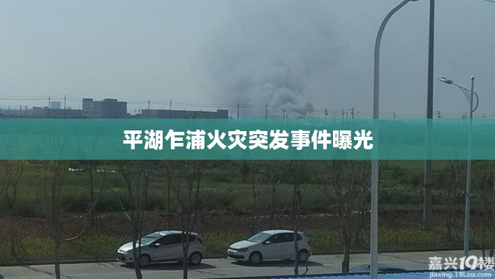 平湖乍浦火灾突发事件曝光