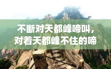 不断对天都峰啼叫,对着天都峰不住的啼叫怎么读
