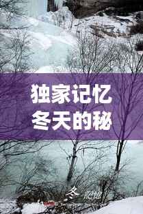 独家记忆冬天的秘密,冬天的记忆阅读