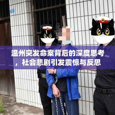 温州突发命案背后的深度思考,社会悲剧引发震惊与反思