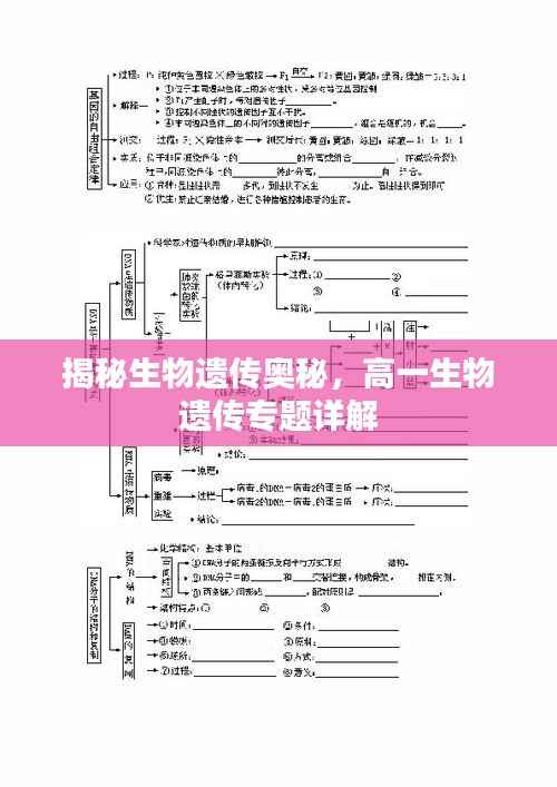 揭秘生物遗传奥秘,高一生物遗传专题详解