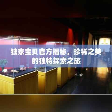 独家宝贝官方揭秘,珍稀之美的独特探索之旅