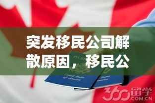 突发移民公司解散原因,移民公司合法吗