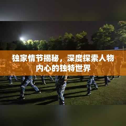 独家情节揭秘,深度探索人物内心的独特世界