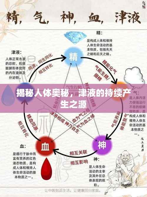 揭秘人体奥秘,津液的持续产生之源