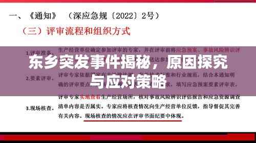 东乡突发事件揭秘,原因探究与应对策略