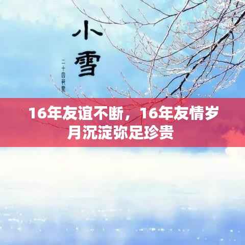 16年友谊不断,16年友情岁月沉淀弥足珍贵