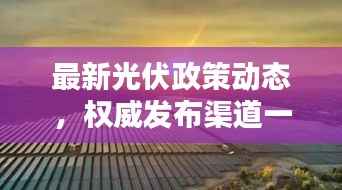 最新光伏政策动态，权威发布渠道一网打尽