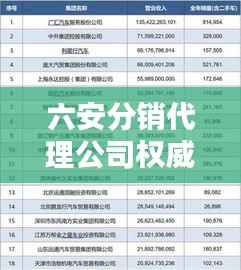 六安分销代理公司权威排名榜单揭晓!