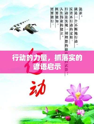 行动的力量,抓落实的谚语启示