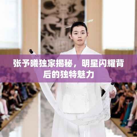 张予曦独家揭秘,明星闪耀背后的独特魅力