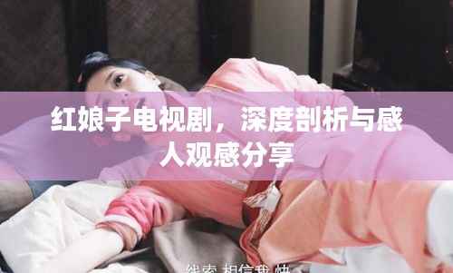 红娘子电视剧,深度剖析与感人观感分享