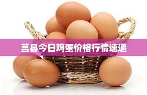 莒县今日鸡蛋价格行情速递