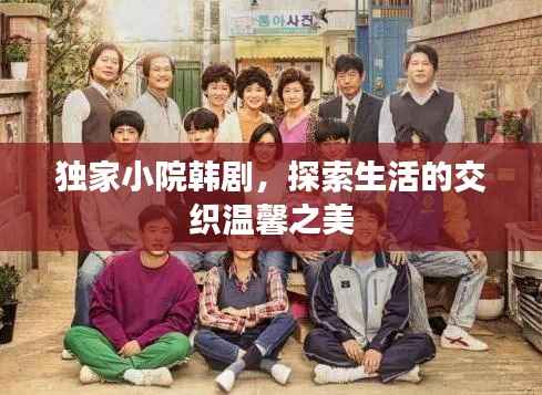 独家小院韩剧,探索生活的交织温馨之美