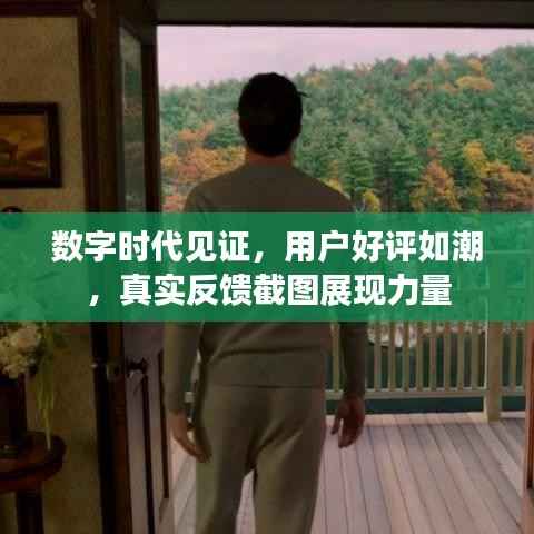 数字时代见证,用户好评如潮,真实反馈截图展现力量