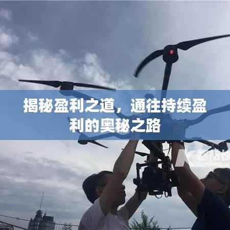 揭秘盈利之道,通往持续盈利的奥秘之路