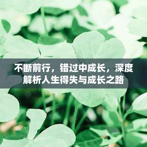不断前行,错过中成长,深度解析人生得失与成长之路