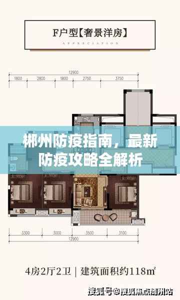 郴州防疫指南，最新防疫攻略全解析
