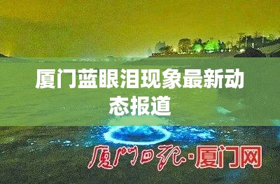 厦门蓝眼泪现象最新动态报道