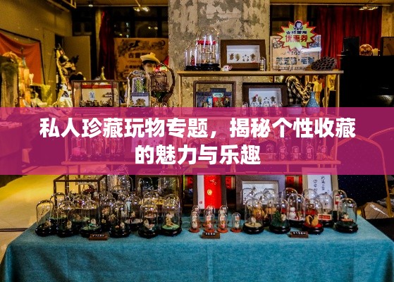 私人珍藏玩物专题,揭秘个性收藏的魅力与乐趣