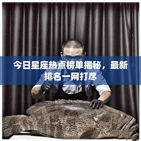今日星座热点榜单揭秘,最新排名一网打尽