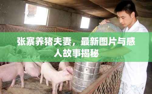 张寨养猪夫妻,最新图片与感人故事揭秘
