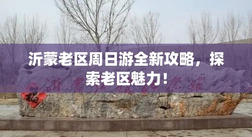 沂蒙老区周日游全新攻略,探索老区魅力!
